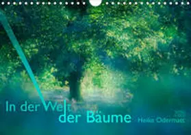 Odermatt |  In der Welt der Bäume (Wandkalender 2020 DIN A4 quer) | Sonstiges |  Sack Fachmedien