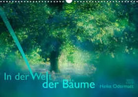 Odermatt | In der Welt der Bäume (Wandkalender 2020 DIN A3 quer) | Sonstiges | 978-3-671-16149-2 | www.sack.de