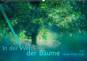 Odermatt | In der Welt der Bäume (Wandkalender 2020 DIN A2 quer) | Sonstiges | 978-3-671-16150-8 | www.sack.de