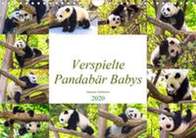 Gatterwe |  Pandabär Babys (Wandkalender 2020 DIN A4 quer) | Sonstiges |  Sack Fachmedien