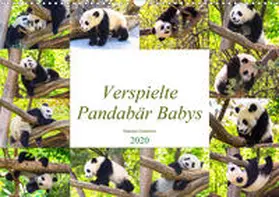 Gatterwe |  Pandabär Babys (Wandkalender 2020 DIN A3 quer) | Sonstiges |  Sack Fachmedien