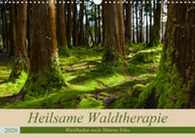 Webeler |  Heilsame Waldtherapie - Waldbaden nach Shinrin Yoku (Wandkalender 2020 DIN A3 quer) | Sonstiges |  Sack Fachmedien