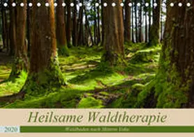 Webeler |  Heilsame Waldtherapie - Waldbaden nach Shinrin Yoku (Tischkalender 2020 DIN A5 quer) | Sonstiges |  Sack Fachmedien