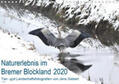 Siebert |  Naturerlebnis im Bremer Blockland (Wandkalender 2020 DIN A4 quer) | Sonstiges |  Sack Fachmedien