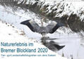 Siebert |  Naturerlebnis im Bremer Blockland (Wandkalender 2020 DIN A3 quer) | Sonstiges |  Sack Fachmedien