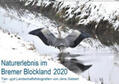 Siebert |  Naturerlebnis im Bremer Blockland (Wandkalender 2020 DIN A2 quer) | Sonstiges |  Sack Fachmedien
