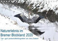 Siebert |  Naturerlebnis im Bremer Blockland (Tischkalender 2020 DIN A5 quer) | Sonstiges |  Sack Fachmedien