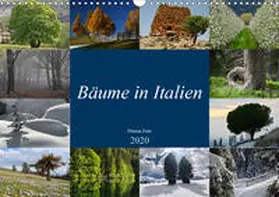 Fritz | Bäume in Italien (Wandkalender 2020 DIN A3 quer) | Sonstiges | 978-3-671-17350-1 | www.sack.de