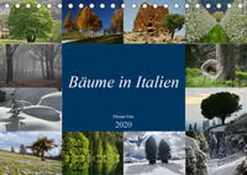 Fritz | Bäume in Italien (Tischkalender 2020 DIN A5 quer) | Sonstiges | 978-3-671-17351-8 | www.sack.de