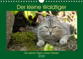 Brack | Der kleine Waldtiger (Wandkalender 2020 DIN A4 quer) | Sonstiges | 978-3-671-17382-2 | www.sack.de