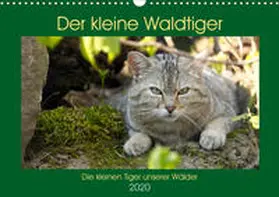 Brack | Der kleine Waldtiger (Wandkalender 2020 DIN A3 quer) | Sonstiges | 978-3-671-17383-9 | www.sack.de