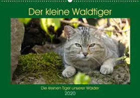 Brack |  Der kleine Waldtiger (Wandkalender 2020 DIN A2 quer) | Sonstiges |  Sack Fachmedien