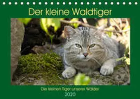 Brack | Der kleine Waldtiger (Tischkalender 2020 DIN A5 quer) | Sonstiges | 978-3-671-17385-3 | www.sack.de