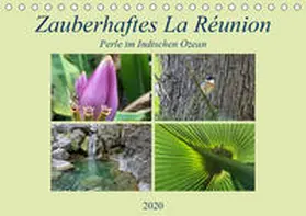 Fritz |  Zauberhaftes La Reúnion - Perle im Indischen Ozean (Tischkalender 2020 DIN A5 quer) | Sonstiges |  Sack Fachmedien