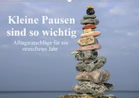 Sarnade | Kleine Pausen sind so wichtig (Wandkalender 2020 DIN A2 quer) | Sonstiges | 978-3-671-17526-0 | www.sack.de