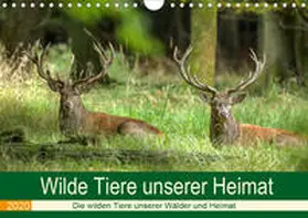 Brack | Wilde Tiere unserer Heimat (Wandkalender 2020 DIN A4 quer) | Sonstiges | 978-3-671-17555-0 | www.sack.de