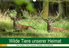Brack | Wilde Tiere unserer Heimat (Wandkalender 2020 DIN A3 quer) | Sonstiges | 978-3-671-17556-7 | www.sack.de