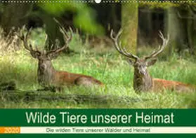 Brack |  Wilde Tiere unserer Heimat (Wandkalender 2020 DIN A2 quer) | Sonstiges |  Sack Fachmedien