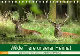 Brack | Wilde Tiere unserer Heimat (Tischkalender 2020 DIN A5 quer) | Sonstiges | 978-3-671-17558-1 | www.sack.de