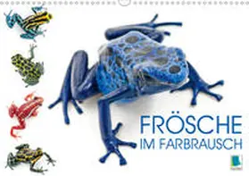 Calvendo / CALVENDO |  Frösche im Farbrausch (Wandkalender 2020 DIN A3 quer) | Sonstiges |  Sack Fachmedien