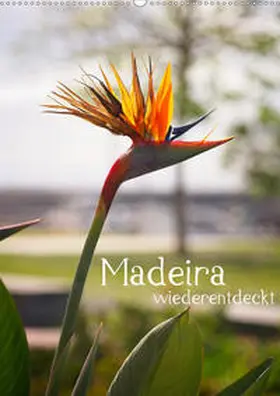 Weber | Madeira - wiederentdeckt (Wandkalender 2020 DIN A2 hoch) | Sonstiges | 978-3-671-18030-1 | www.sack.de