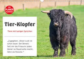 Kulartz | Tier-Klopfer (Wandkalender 2020 DIN A3 quer) | Sonstiges | 978-3-671-18187-2 | www.sack.de