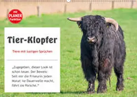 Kulartz |  Tier-Klopfer (Wandkalender 2020 DIN A2 quer) | Sonstiges |  Sack Fachmedien