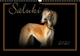 Redecker | Saluki 2020 (Wandkalender 2020 DIN A3 quer) | Sonstiges | 978-3-671-18738-6 | www.sack.de