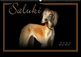 Redecker |  Saluki 2020 (Wandkalender 2020 DIN A2 quer) | Sonstiges |  Sack Fachmedien