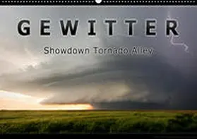 Thieme |  Gewitter - Showdown Tornado Alley (Wandkalender 2020 DIN A2 quer) | Sonstiges |  Sack Fachmedien
