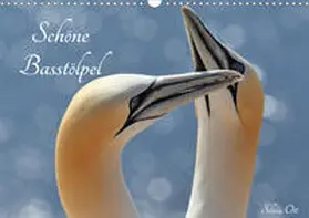 Ott |  Schöne Basstölpel (Wandkalender 2020 DIN A3 quer) | Sonstiges |  Sack Fachmedien