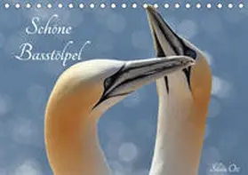 Ott |  Schöne Basstölpel (Tischkalender 2020 DIN A5 quer) | Sonstiges |  Sack Fachmedien