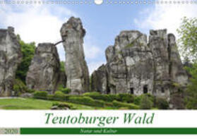 Becker | Teutoburger Wald - Natur und Kultur (Wandkalender 2020 DIN A3 quer) | Sonstiges | 978-3-671-19327-1 | sack.de