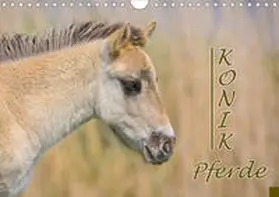 Kulartz |  Konik-Pferde (Wandkalender 2020 DIN A4 quer) | Sonstiges |  Sack Fachmedien