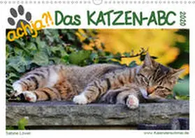 Löwer |  achja - Das Katzen-ABC (Wandkalender 2020 DIN A3 quer) | Sonstiges |  Sack Fachmedien