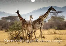 Maaß |  Serengeti - auf den Spuren eines Zoologen (Wandkalender 2020 DIN A4 quer) | Sonstiges |  Sack Fachmedien