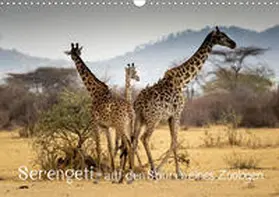 Maaß |  Serengeti - auf den Spuren eines Zoologen (Wandkalender 2020 DIN A3 quer) | Sonstiges |  Sack Fachmedien