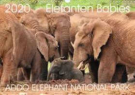 Fraatz |  ADDO ELEPHANT NATIONAL PARK Elefanten Babies (Wandkalender 2020 DIN A3 quer) | Sonstiges |  Sack Fachmedien