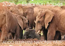 Fraatz |  ADDO ELEPHANT NATIONAL PARK Elefanten Babies (Wandkalender 2020 DIN A2 quer) | Sonstiges |  Sack Fachmedien