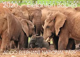 Fraatz |  ADDO ELEPHANT NATIONAL PARK Elefanten Babies (Tischkalender 2020 DIN A5 quer) | Sonstiges |  Sack Fachmedien