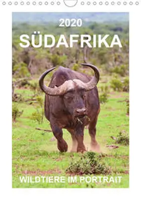 Fraatz |  SÜDAFRIKA - WILDTIERE IM PORTRAIT (Wandkalender 2020 DIN A4 hoch) | Sonstiges |  Sack Fachmedien