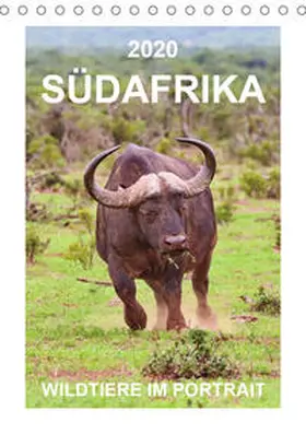Fraatz |  SÜDAFRIKA - WILDTIERE IM PORTRAIT (Tischkalender 2020 DIN A5 hoch) | Sonstiges |  Sack Fachmedien