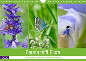B-B Müller |  Fauna trifft Flora - Tierischer Besuch im Pflanzenreich (Wandkalender 2020 DIN A4 quer) | Sonstiges |  Sack Fachmedien