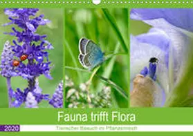 B-B Müller |  Fauna trifft Flora - Tierischer Besuch im Pflanzenreich (Wandkalender 2020 DIN A3 quer) | Sonstiges |  Sack Fachmedien