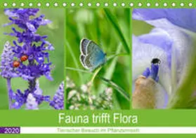 B-B Müller |  Fauna trifft Flora - Tierischer Besuch im Pflanzenreich (Tischkalender 2020 DIN A5 quer) | Sonstiges |  Sack Fachmedien