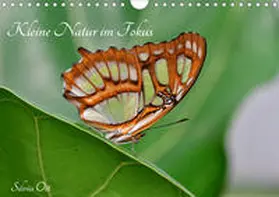 Ott |  Kleine Natur im Fokus (Wandkalender 2020 DIN A4 quer) | Sonstiges |  Sack Fachmedien