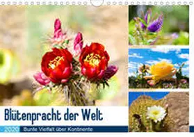 Koch |  Blütenpracht aus aller Welt (Wandkalender 2020 DIN A4 quer) | Sonstiges |  Sack Fachmedien