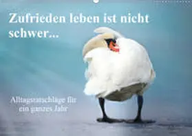 Sarnade | Zufrieden leben ist nicht schwer... (Wandkalender 2020 DIN A2 quer) | Sonstiges | 978-3-671-21480-8 | www.sack.de
