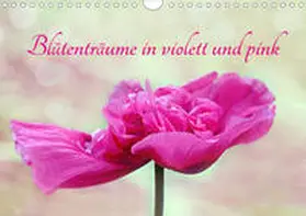 Sarnade |  Blütenträume in violett und pink (Wandkalender 2020 DIN A4 quer) | Sonstiges |  Sack Fachmedien