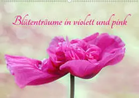Sarnade | Blütenträume in violett und pink (Wandkalender 2020 DIN A2 quer) | Sonstiges | 978-3-671-21651-2 | www.sack.de